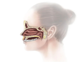 fuda30_371826.png image.png