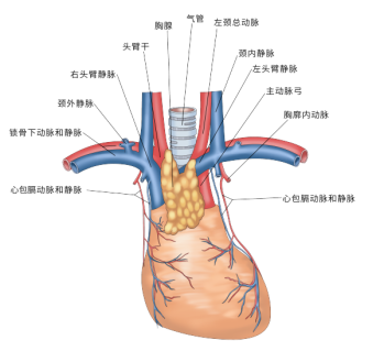 fuda08_863687.png image.png
